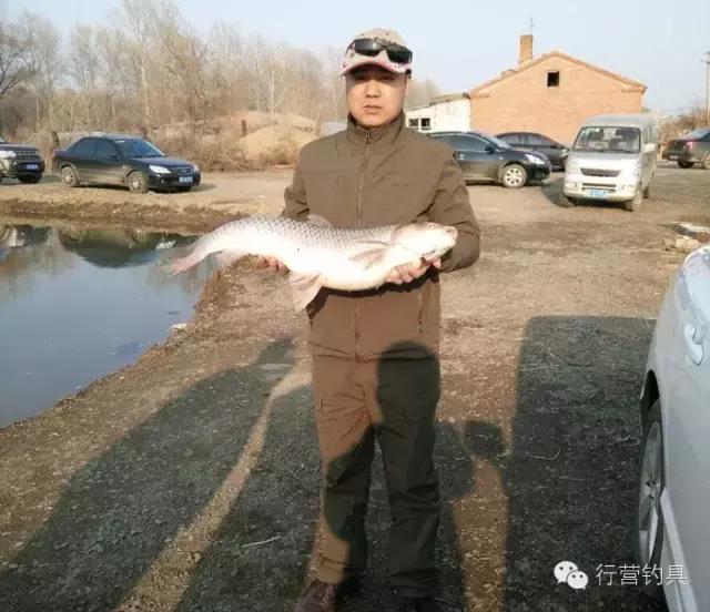 一入钓鱼深似海,一入黑坑