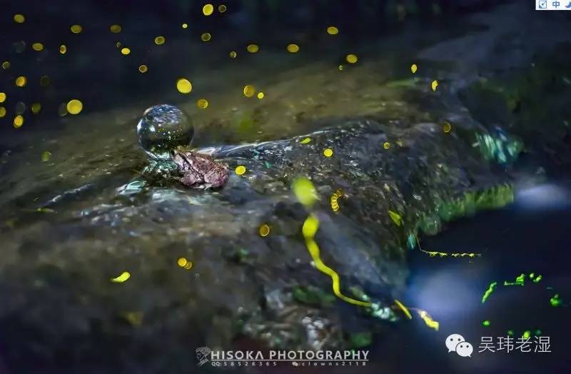 水晶球的风水功能,水晶球真的有那么好吗