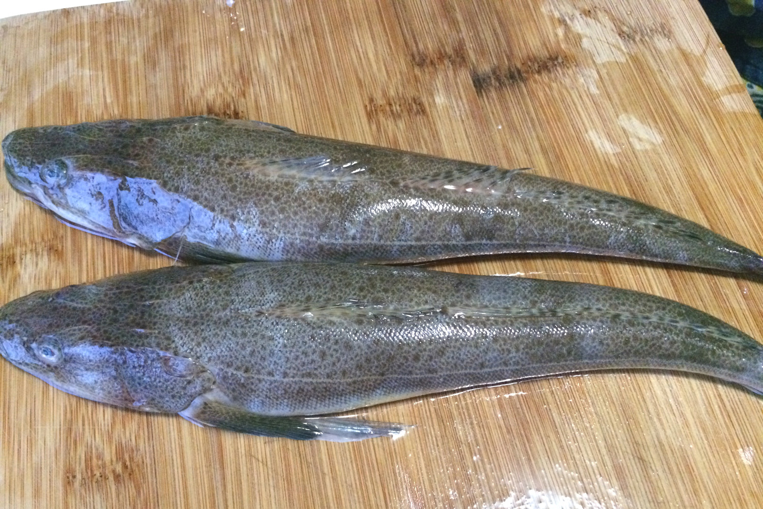 清炖深海小鱼的家常做法,清炖小鱼的家常做法简单好吃