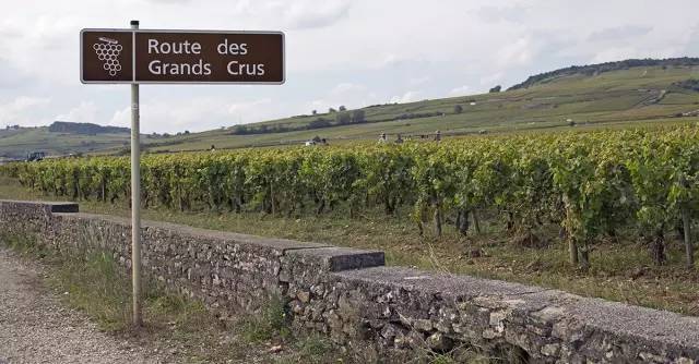 法国干红葡萄酒等级划分,法国葡萄酒aop是什么等级