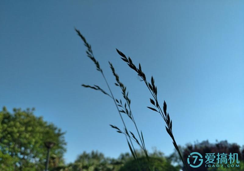 iqooneo7se和荣耀x50拍照哪个好,荣耀7i和小米5对比