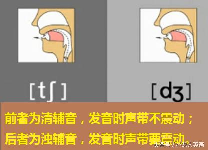 辅音28个音标大图讲解,音标5个元音和19个辅音讲解