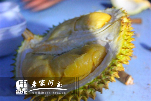 金秋沙巴游 (暑假去沙巴旅游攻略)