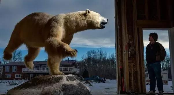一根羽毛也许太普通了仿写,一根不起眼的羽毛