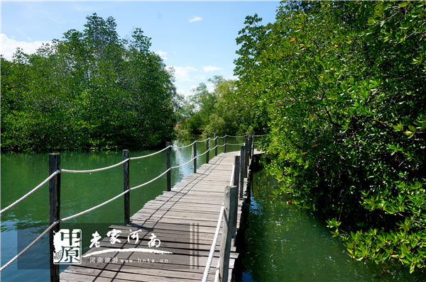 金秋沙巴游 (暑假去沙巴旅游攻略)