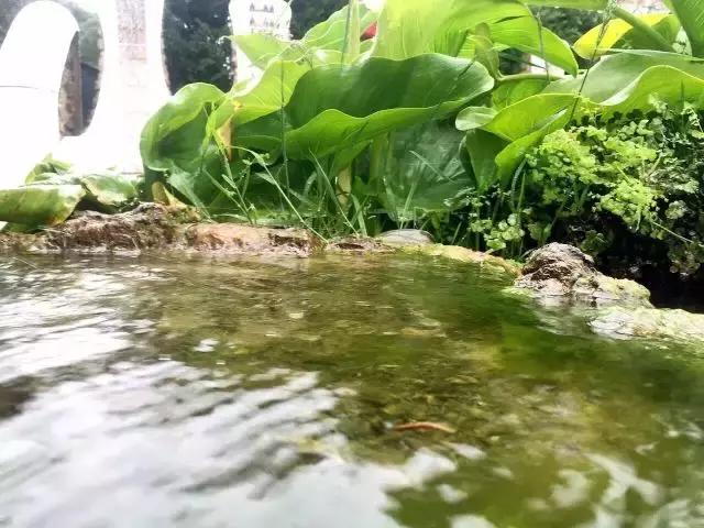 巴塞罗那自由行攻略,免费玩转西班牙马德里不思议