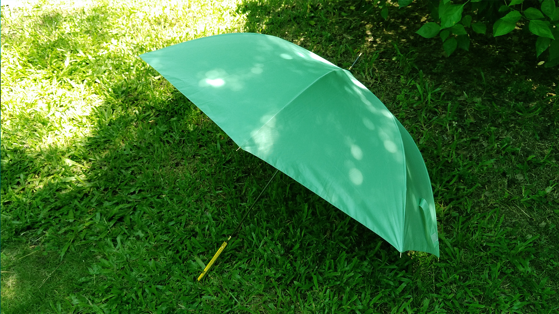 夏日里又一抹轻盈的色彩锐乐防晒超轻长伞试用手记