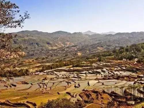 休闲农业能够开发哪些创意,休闲农业学什么课程