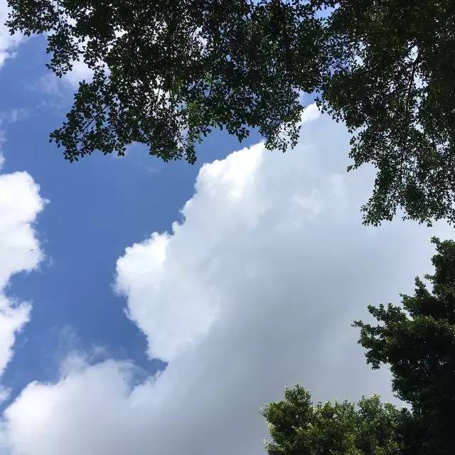 始终护住你的孩子气,总有人还宁愿守护你的孩子气