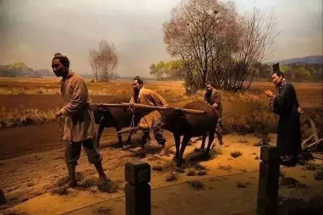 休闲农业能够开发哪些创意,休闲农业学什么课程