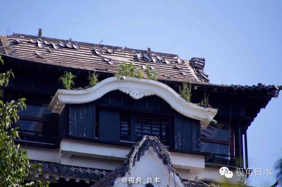 吉卜力美术馆香港,三鹰之森吉卜力美术馆到成田机场