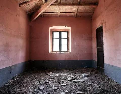 凤凰艺术2019,凤凰艺术