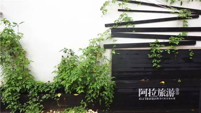 宁波最新的秘密小众街区，这里最合适浪费时间！