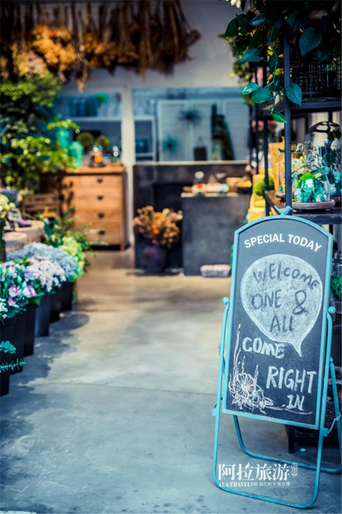 宁波最新的秘密小众街区，这里最合适浪费时间！