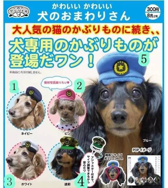 萌物有哪些,萌物脑洞系列