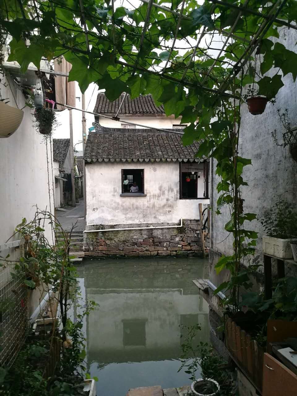 悬桥巷|顾颉刚与叶圣陶童年嬉戏的巷子里，藏着悠悠历史