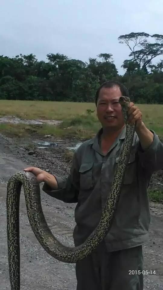 东海人在非洲务工那些不为人知的故事