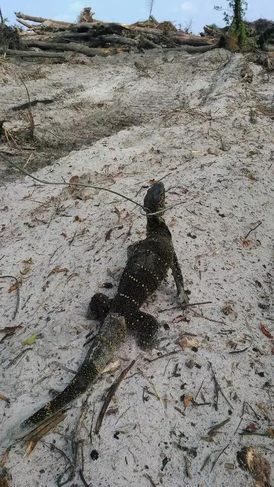 东海人在非洲务工那些不为人知的故事