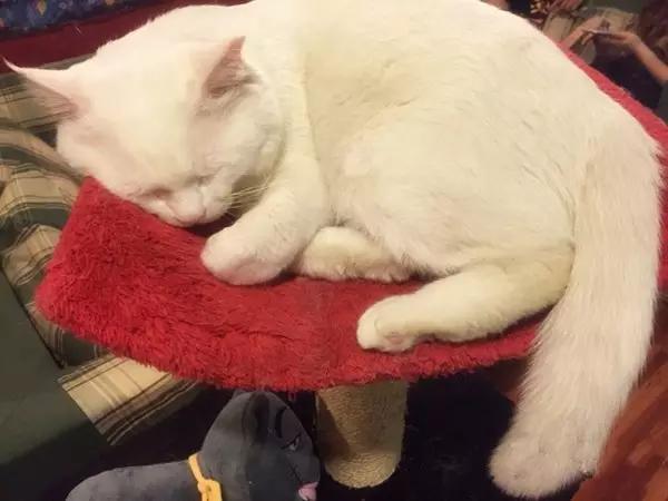 京城那些萌哒哒的地方，即使去千遍也不厌倦