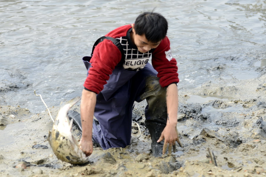 云霄海鲜美食节，干塘激情上演“浑水摸鱼”，女人免费摸