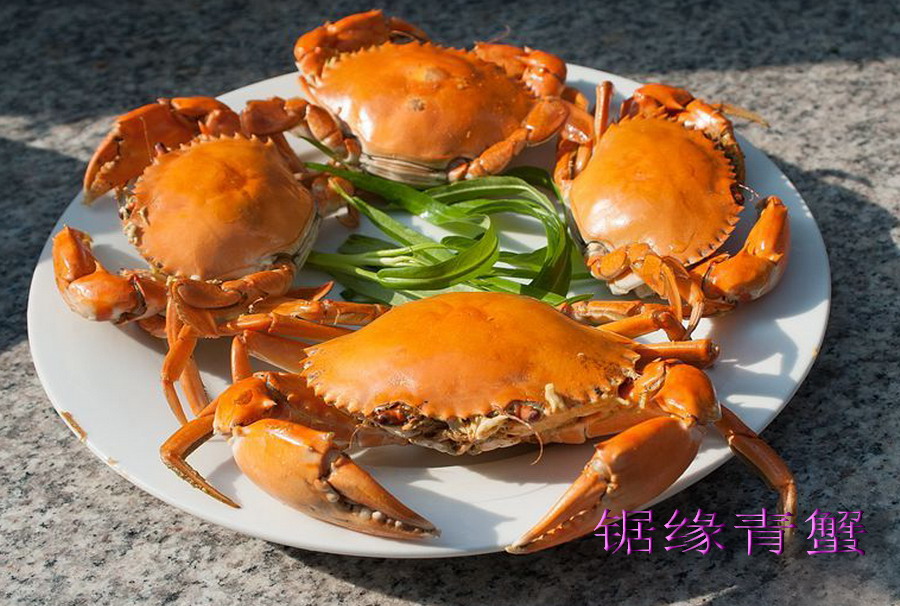 云霄海鲜美食节，干塘激情上演“浑水摸鱼”，女人免费摸