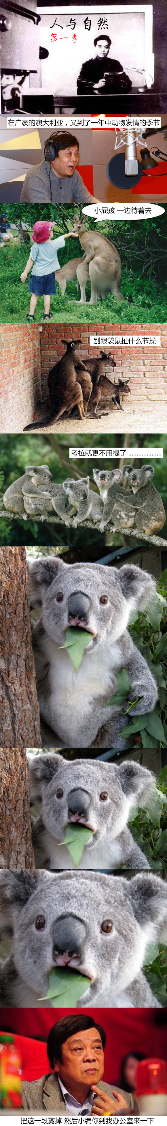 探索|澳洲啤酒的前世今生