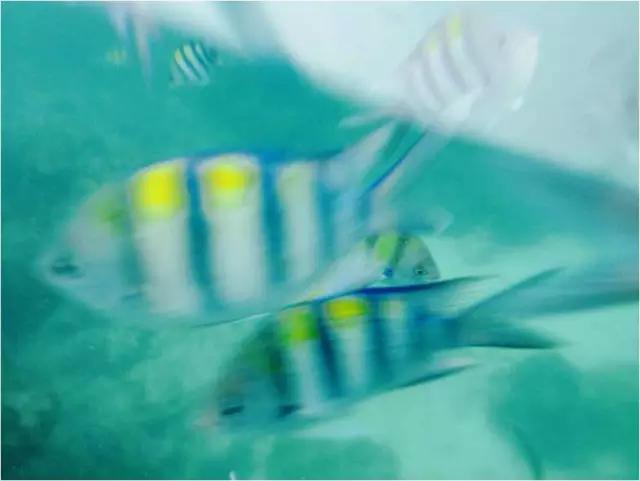 北京*妞小**的泰囧第二弹