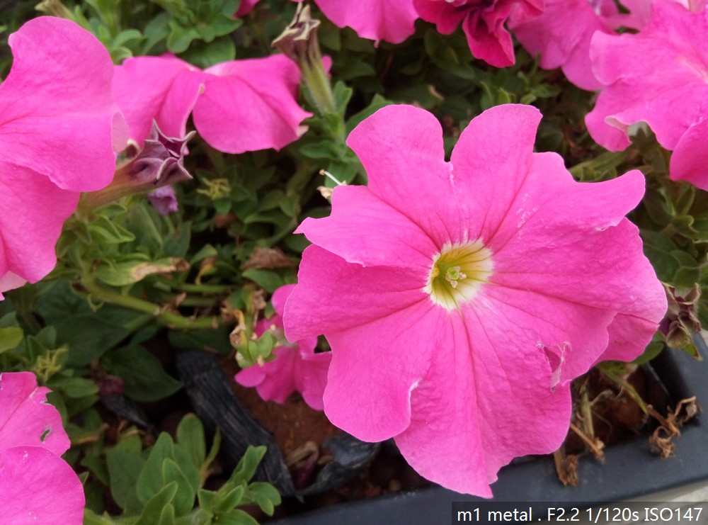 魅族魅蓝metal的屏幕怎么样,魅族魅蓝metal2是全网通