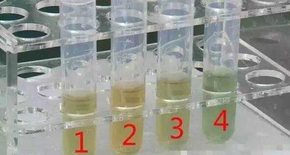 怎么区分瓜子好坏,怎么看瓜子的好坏