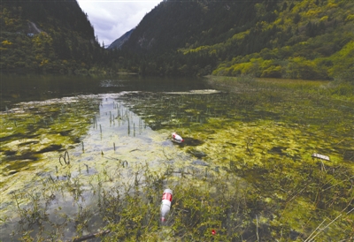 旅游者去景点如何保护环境的理念,旅游者与旅游环境保护