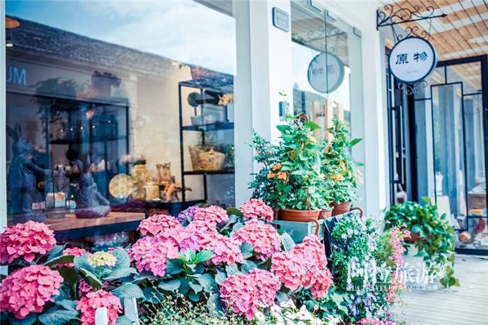 宁波最新的秘密小众街区，这里最合适浪费时间！