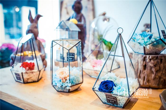 宁波最新的秘密小众街区，这里最合适浪费时间！