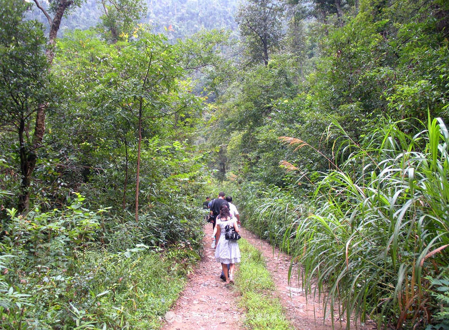 铜钹山风景区和九仙湖图片,铜钹山九仙湖能够钓鱼吗