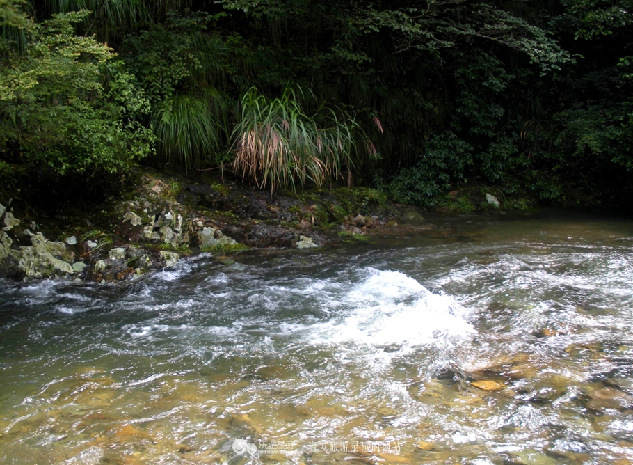 铜钹山风景区和九仙湖图片,铜钹山九仙湖能够钓鱼吗