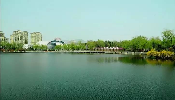 烟台青岛哪个更合适居住,青岛威海烟台哪个最合适居住