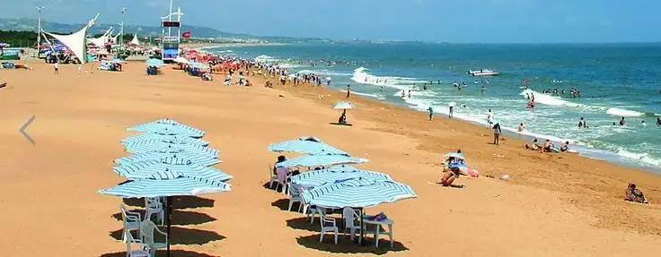 烟台青岛哪个更合适居住,青岛威海烟台哪个最合适居住