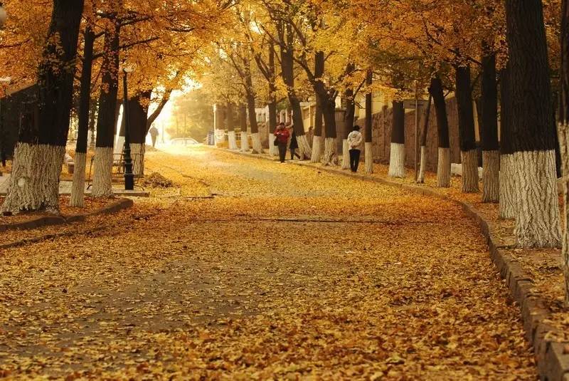 烟台青岛哪个更合适居住,青岛威海烟台哪个最合适居住