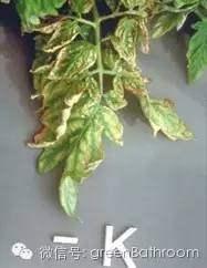 掌握正确施肥方法,如何正确操作施肥