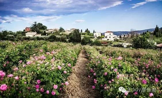 新一代“迪奥小姐”邀你重回墨山城堡！要来体验吗？