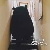 澹瑰绉嶈崏,澹瑰濂界墿鎺ㄨ崘