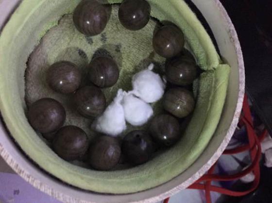 佛珠包浆机制作,自制菩提包浆机