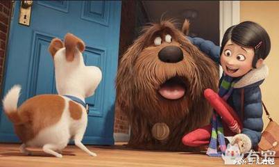 catchmybreath爱宠大机密高燃混剪,动物电影爱宠大机密