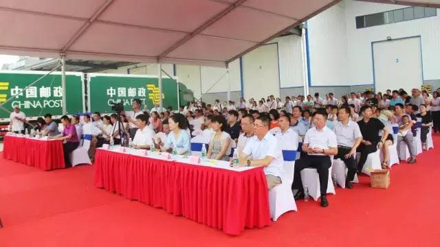 纸尿裤行业趋势,倍康超薄透气纸尿裤