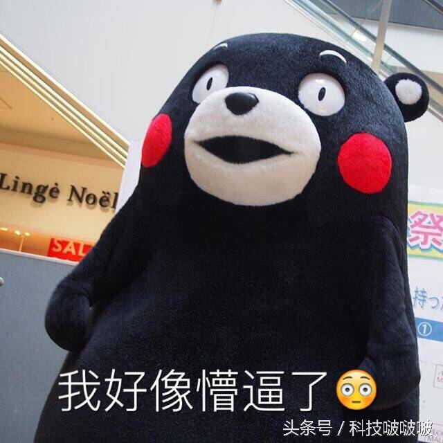 独显核显集显的区别是什么,核显独显集显双显的区别