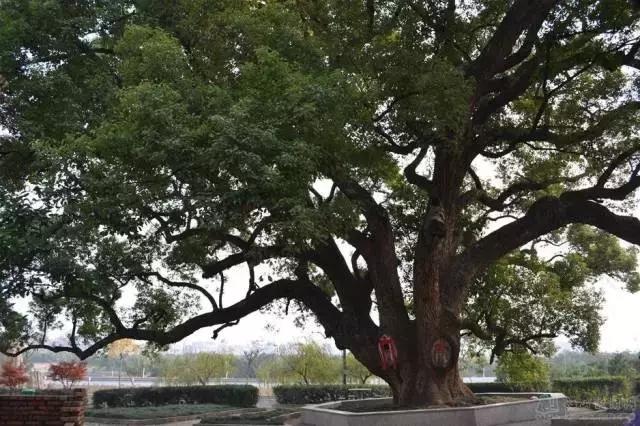 西安将动态调整管控政策最新,4月1日起西安实施什么政策