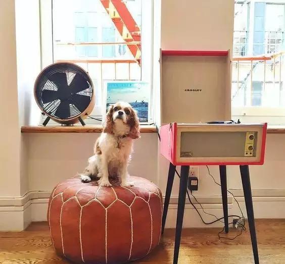 深挖寺库42件美好单品，我知道你想有点酷，但又怕太出格！