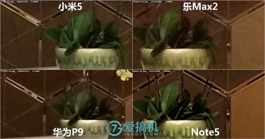 乐max2手机拍照评测,乐max2拍照效果怎么样