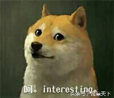 七夕节和单身狗有什么关系,七夕节和单身狗有关吗