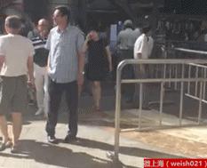 上海比较大的免税店在哪里 (上海最大的免税店在哪)