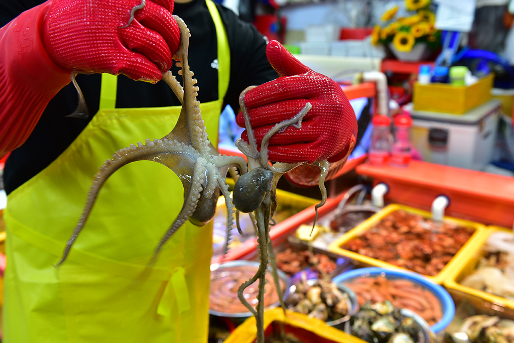 在淘宝上能买到正品的韩国货吗,在韩国电商卖什么畅销